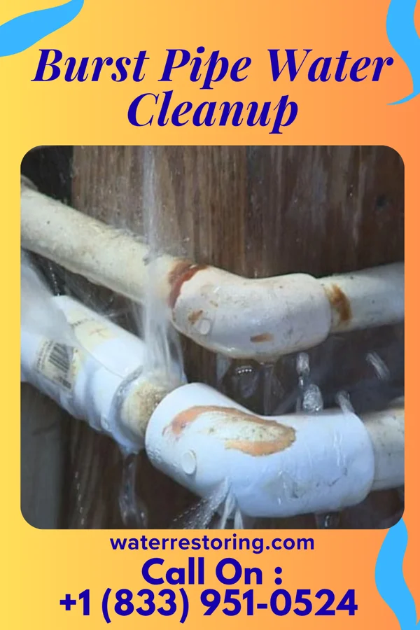 Burst Pipe Water Cleanup in Montgomery, OH