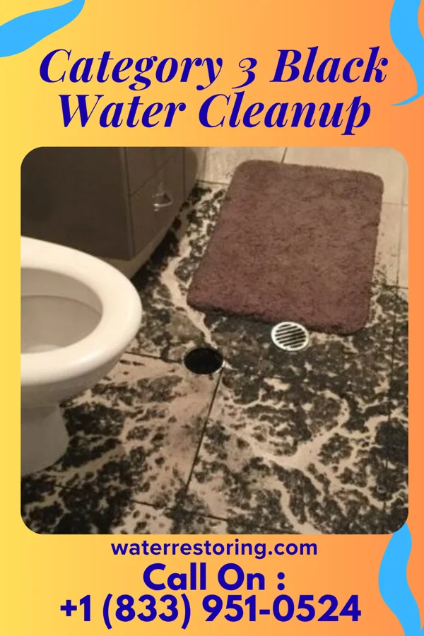 Category 3 Black Water Cleanup in Montgomery, OH