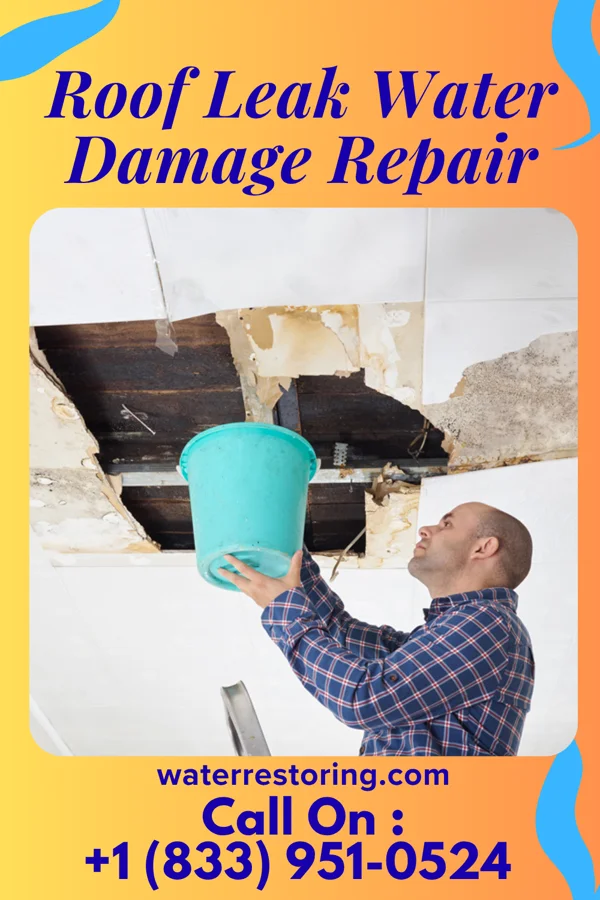 Roof Leak Water Damage Repair in Montgomery, OH
